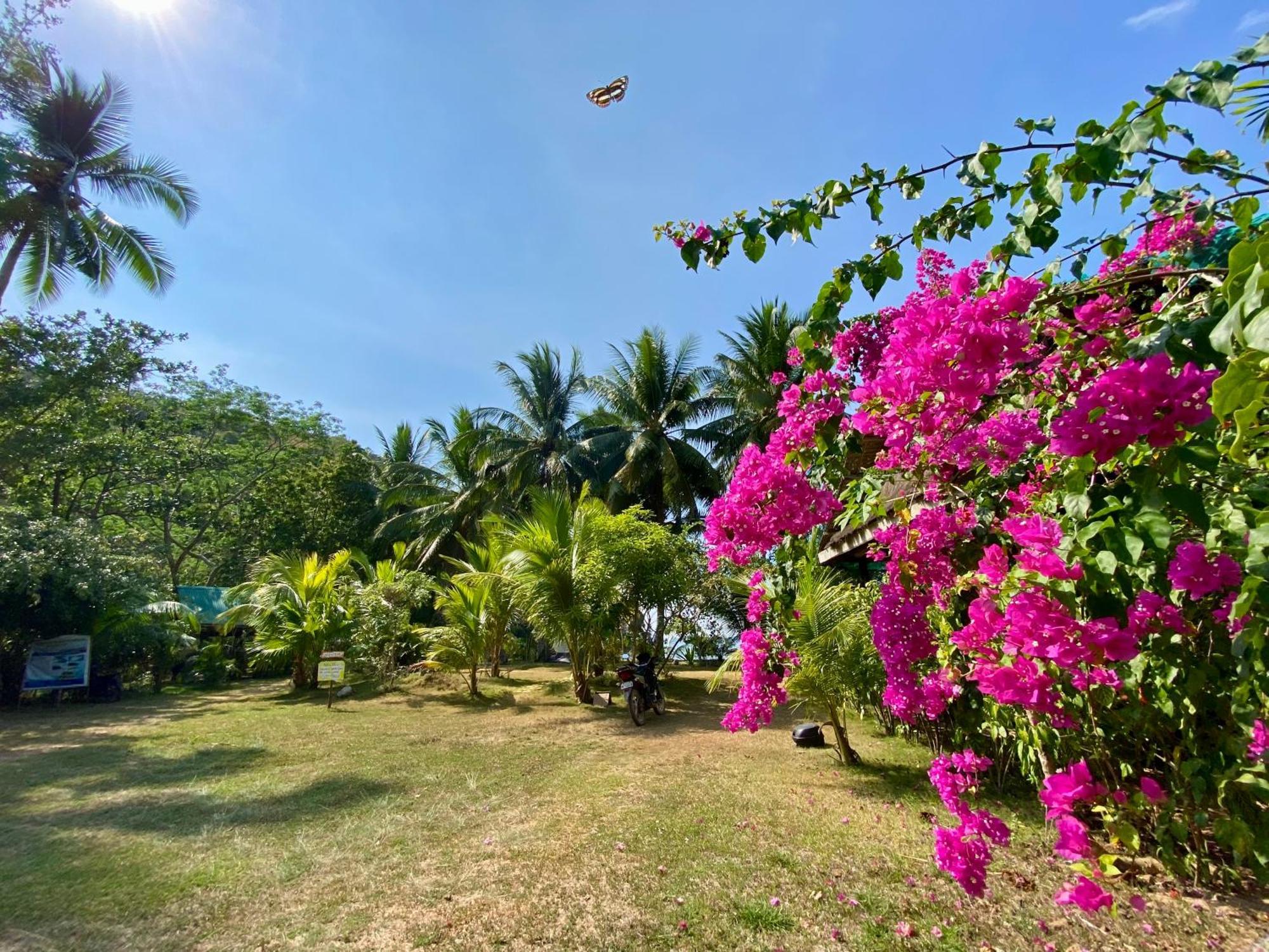 Ocamocam Beach Nature Resort New Busuanga Bagian luar foto