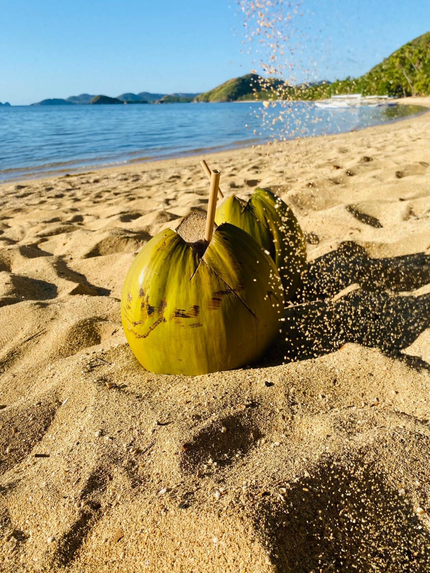 Ocamocam Beach Nature Resort New Busuanga Bagian luar foto